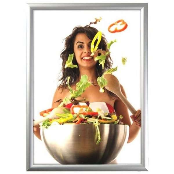 EXPO Light Box 50x70cm single