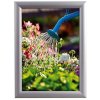 Alu snap frame watersafe, 25 mm, A3, silver #1