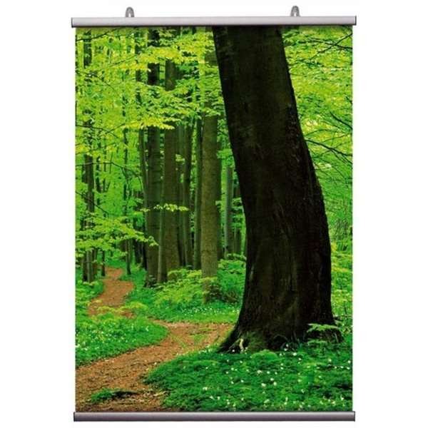 Poster-Hanger, double sided, set, 60 cm, alu/silver