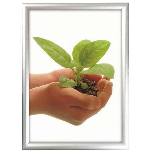 Window Frame, double sided, 25 mm, A4, alu/silver