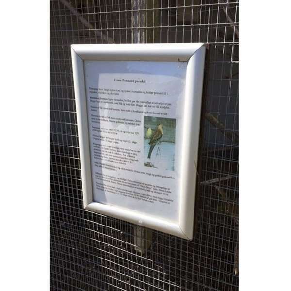 Opti snap frame, 25 mm, 50 x 70, silver