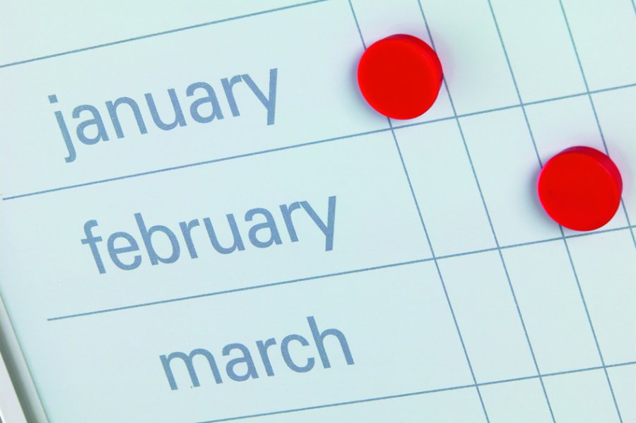 Planning Board - Annual Calendar with Days - 60x120 cm