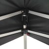 Event Tent Lux, 3 x 6 m, alu/silver poles, black top #8