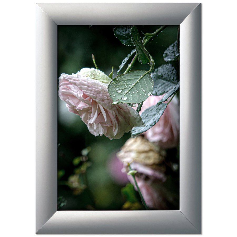 Alu snap frame, 45 mm, 100 x 140, silver