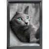 ALU SNAP FRAME 25mm (M) 70x100cm RAL7012 #1