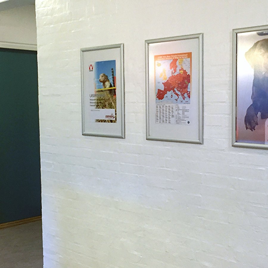 Alu snap frame, 30 mm, A3, silver