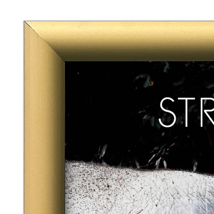 Alu snap frame 25 mm, A4, matt gold