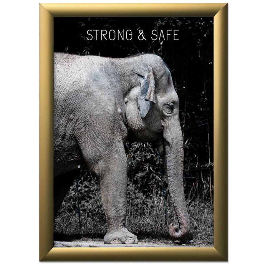 Alu snap frame 25 mm, A3, matt gold