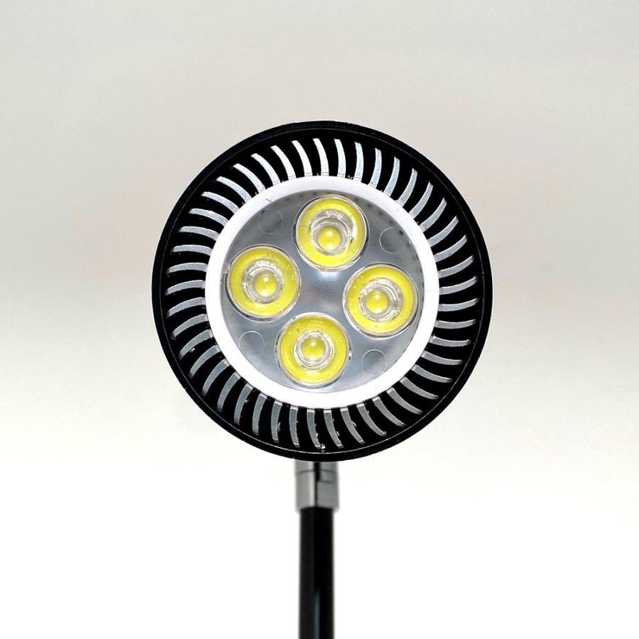 LED Spot Round, black, 10 Watt, for Roll-up